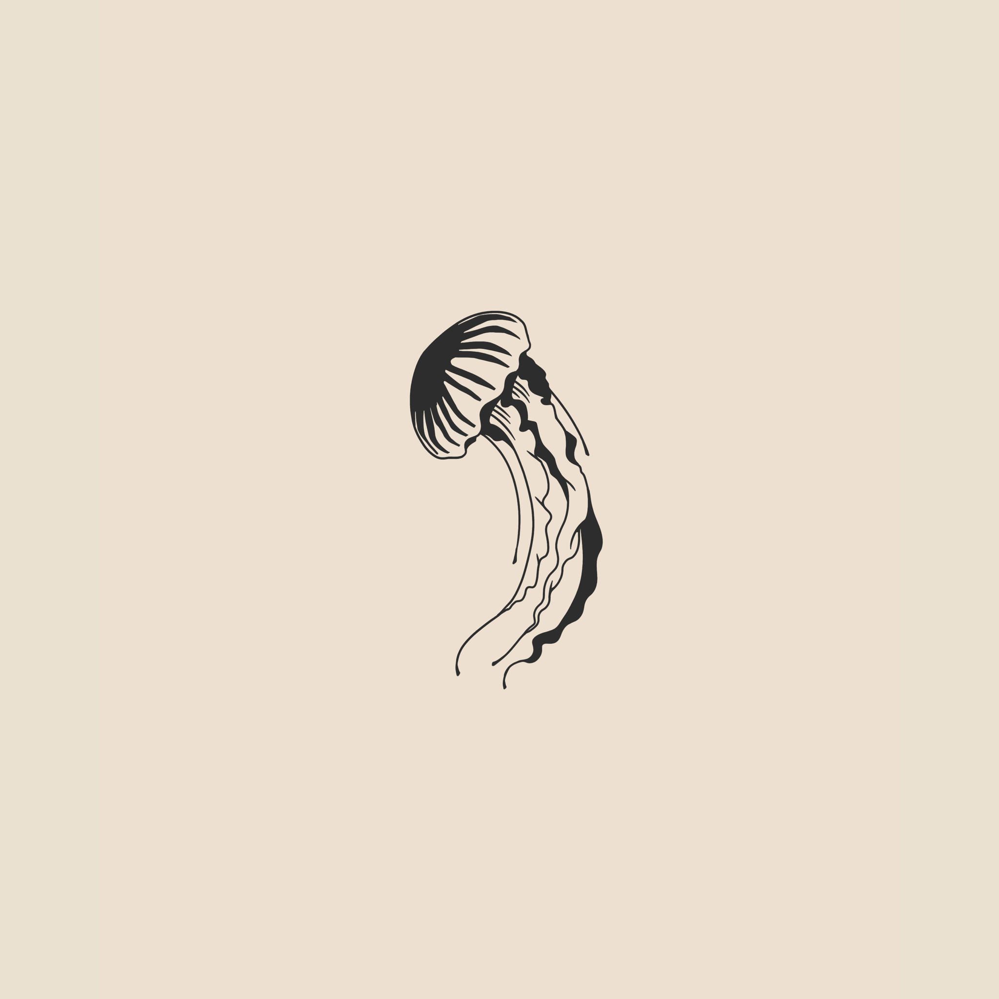 Jellyfish - 1920