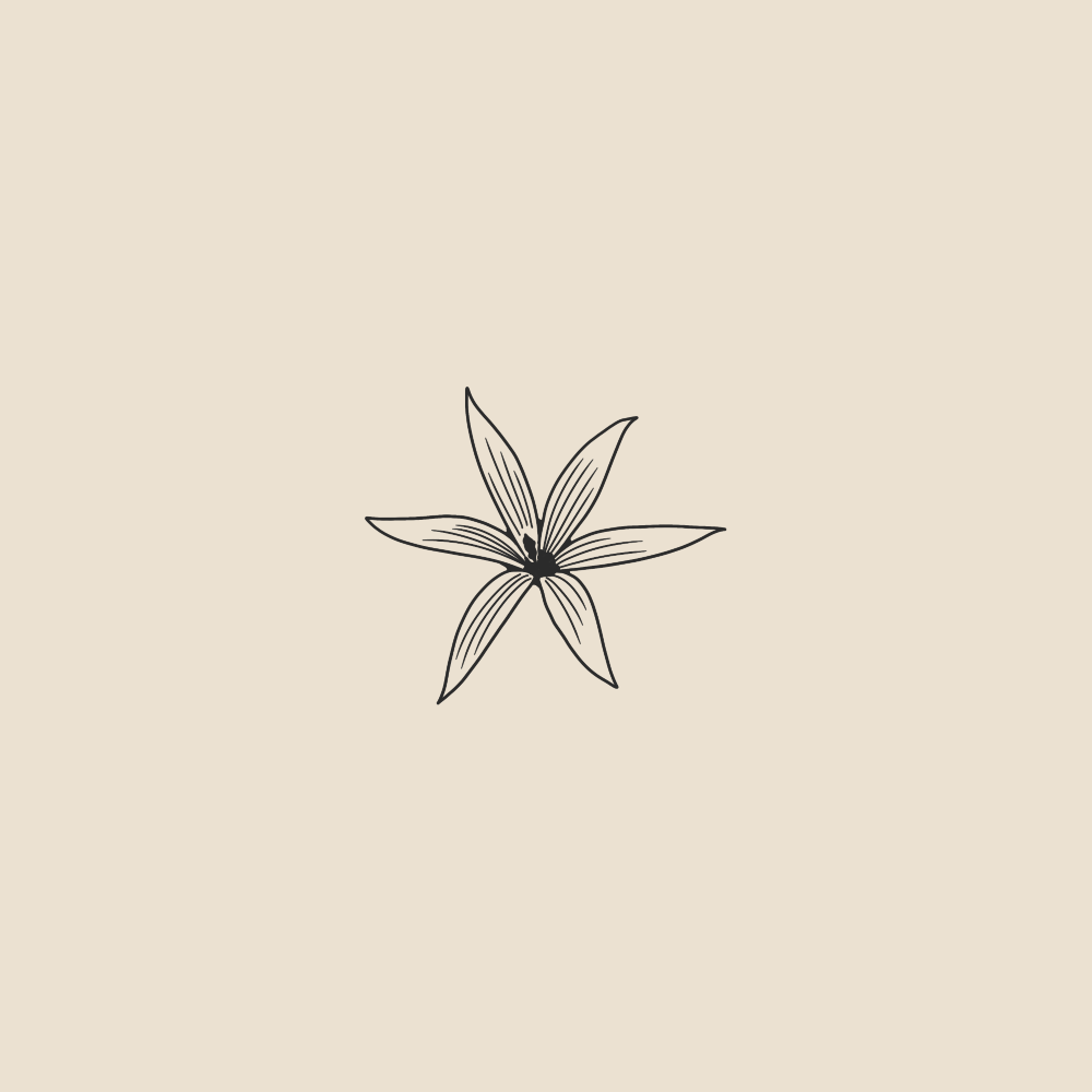 Iris of provence - 2063