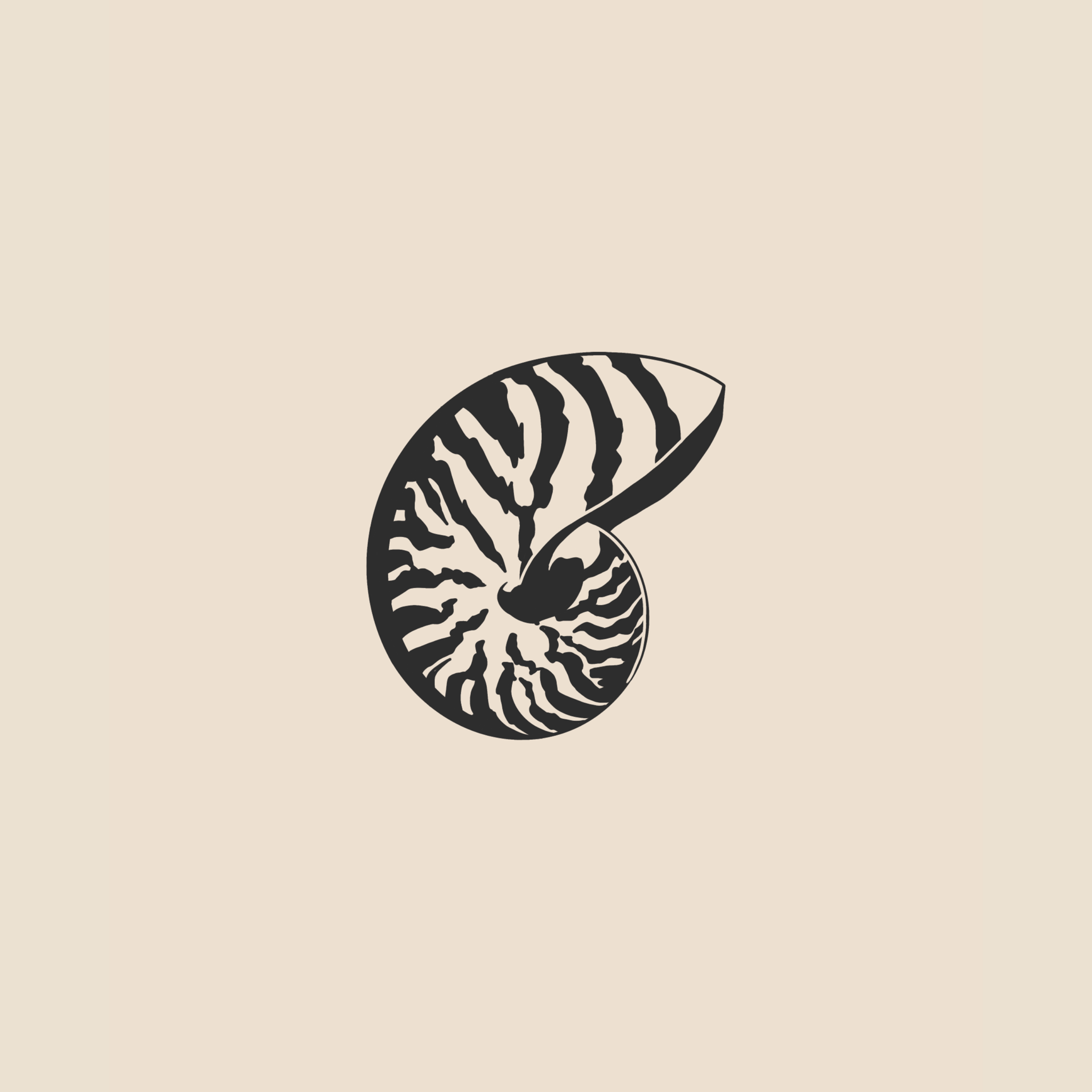 Shell - 1913