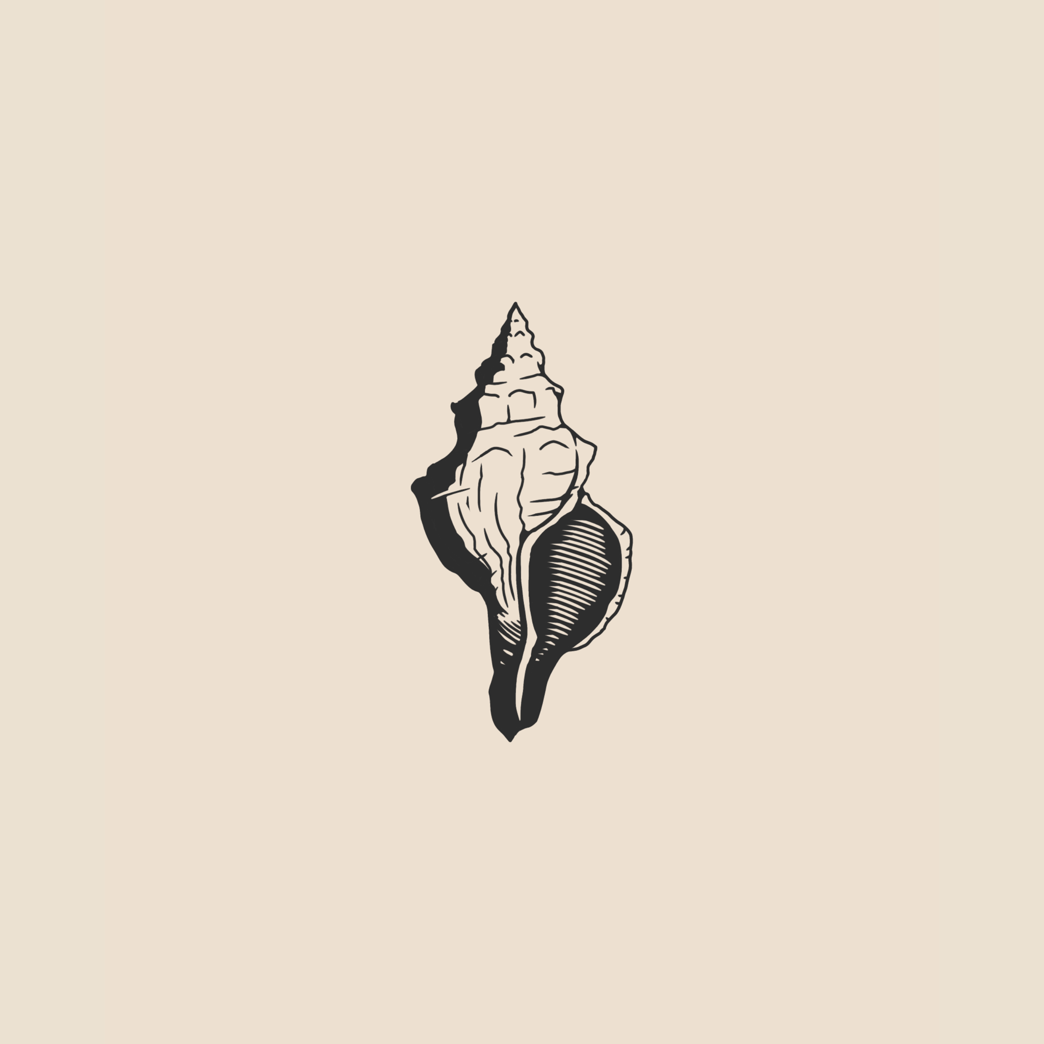 Shell - 1912
