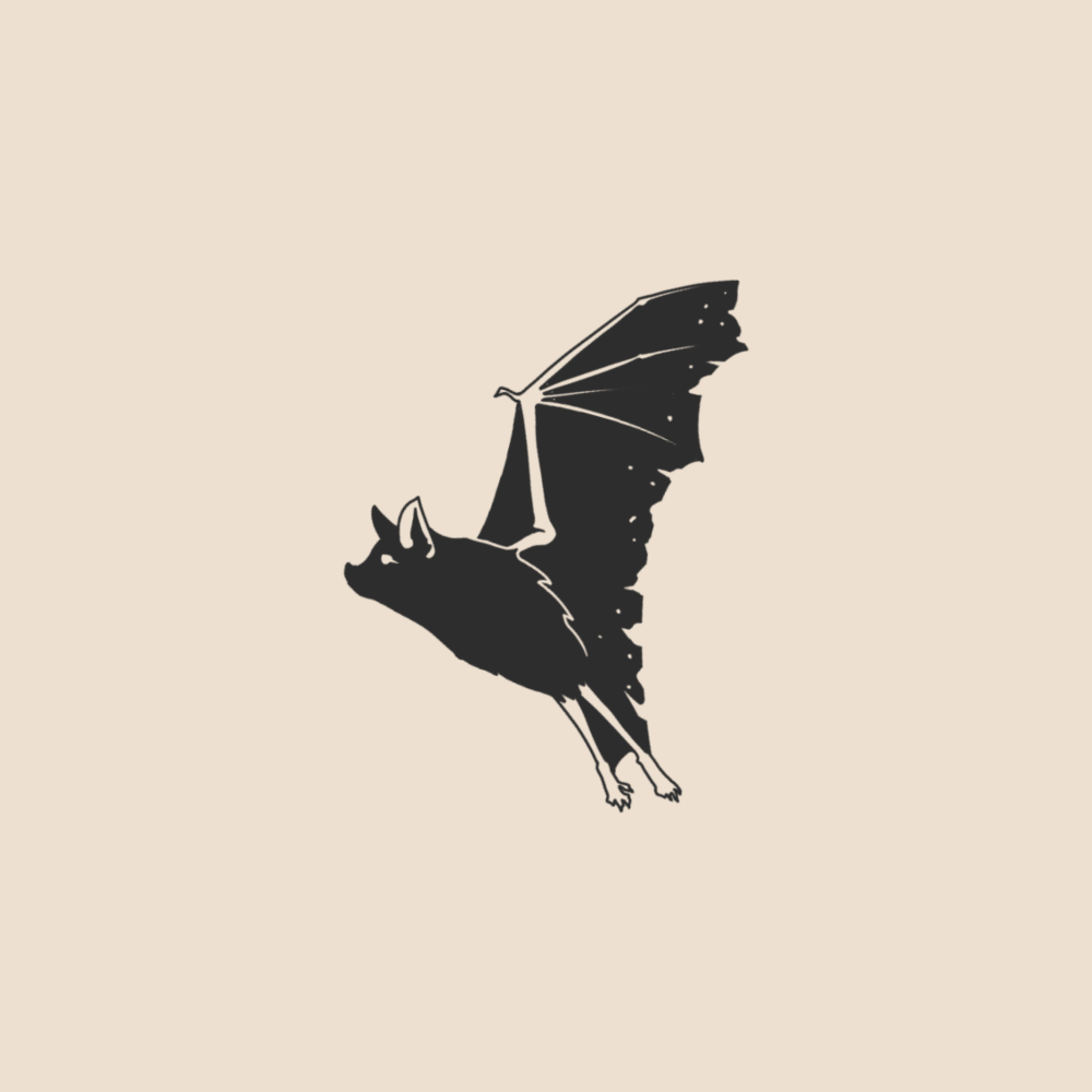Bat - 1973