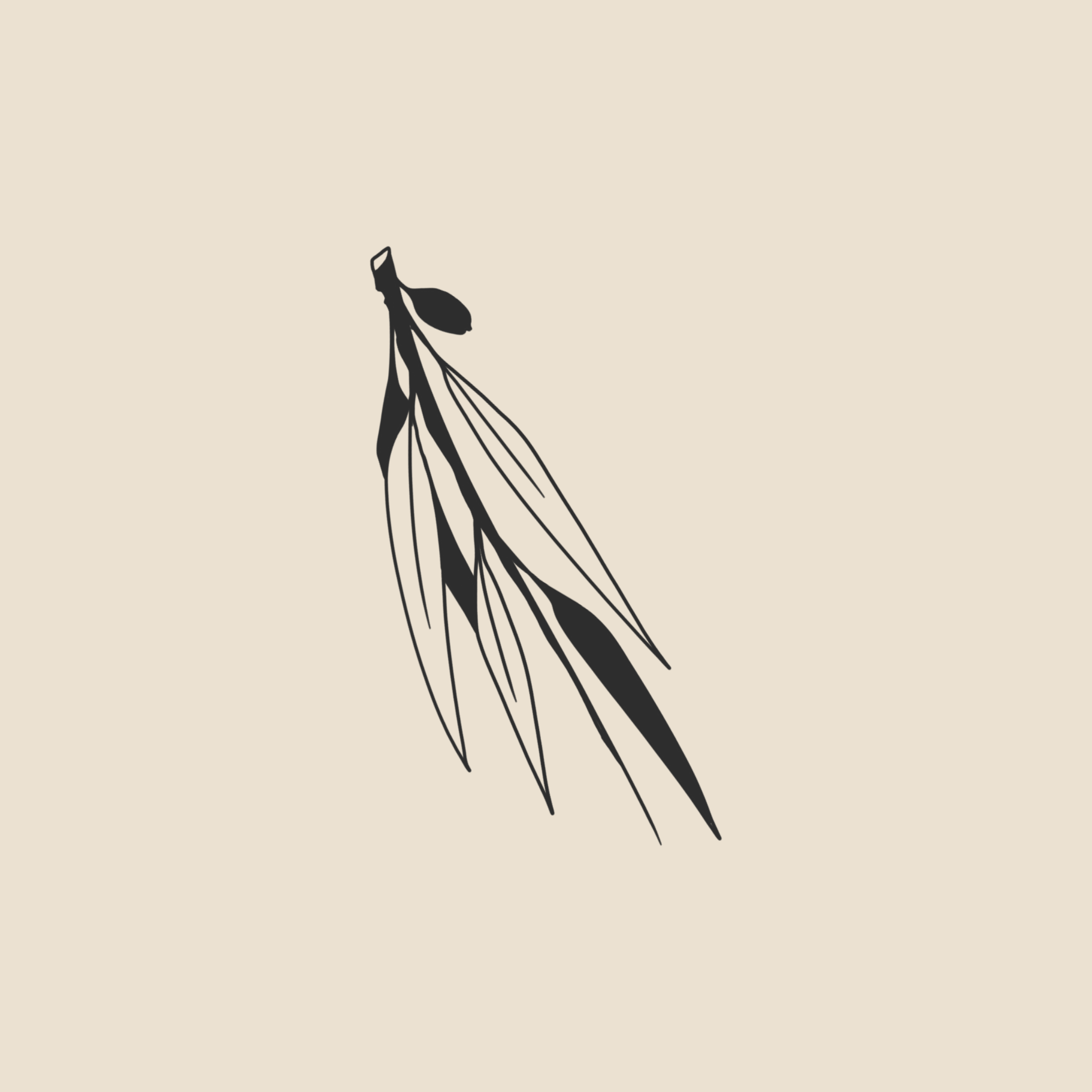 Olive tree branch - 1871