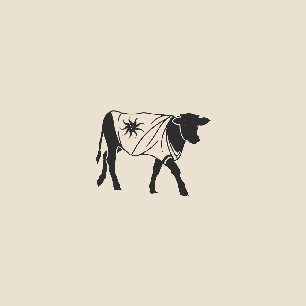 Helios cow - 2023