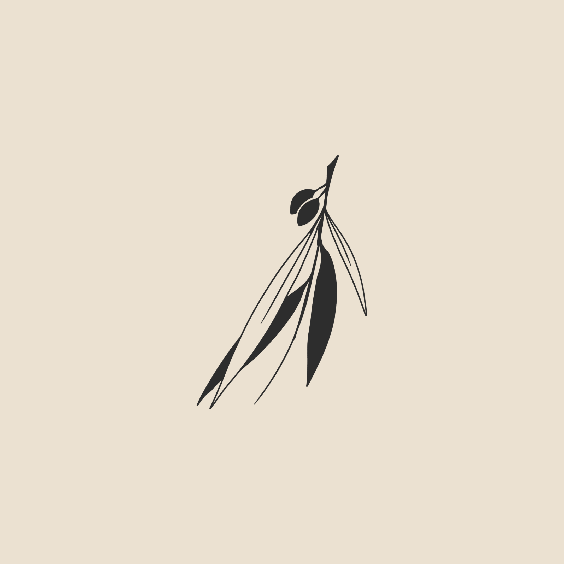Olive tree branch - 1872