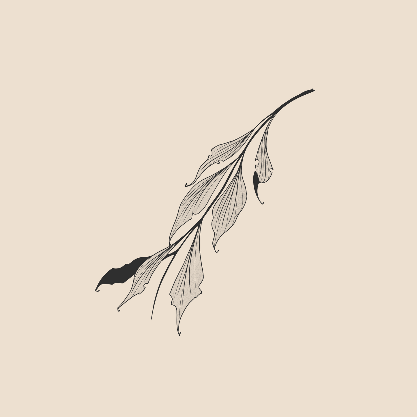 Turbamentum Folium - 1091
