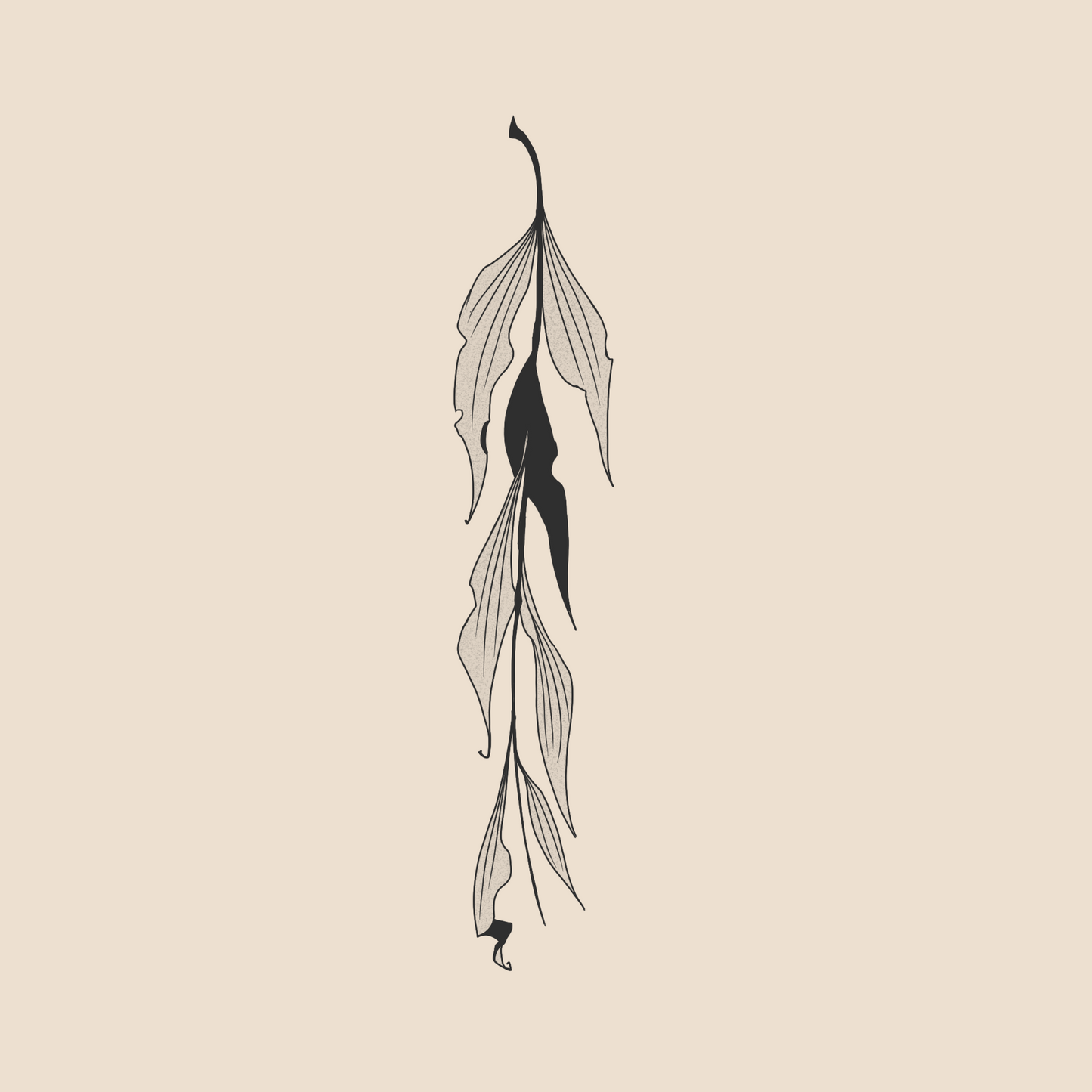 Turbamentum Folium - 1093