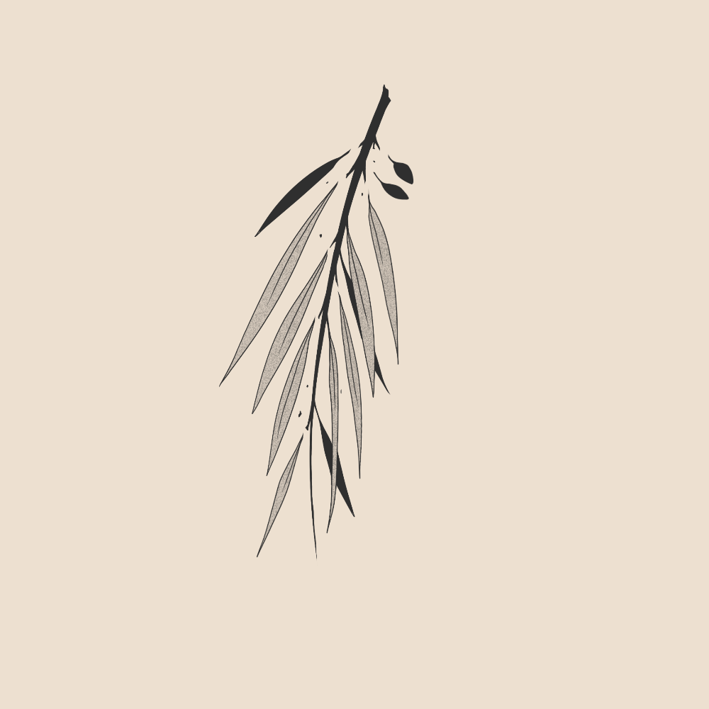 Cursed Olive tree branch - 1847