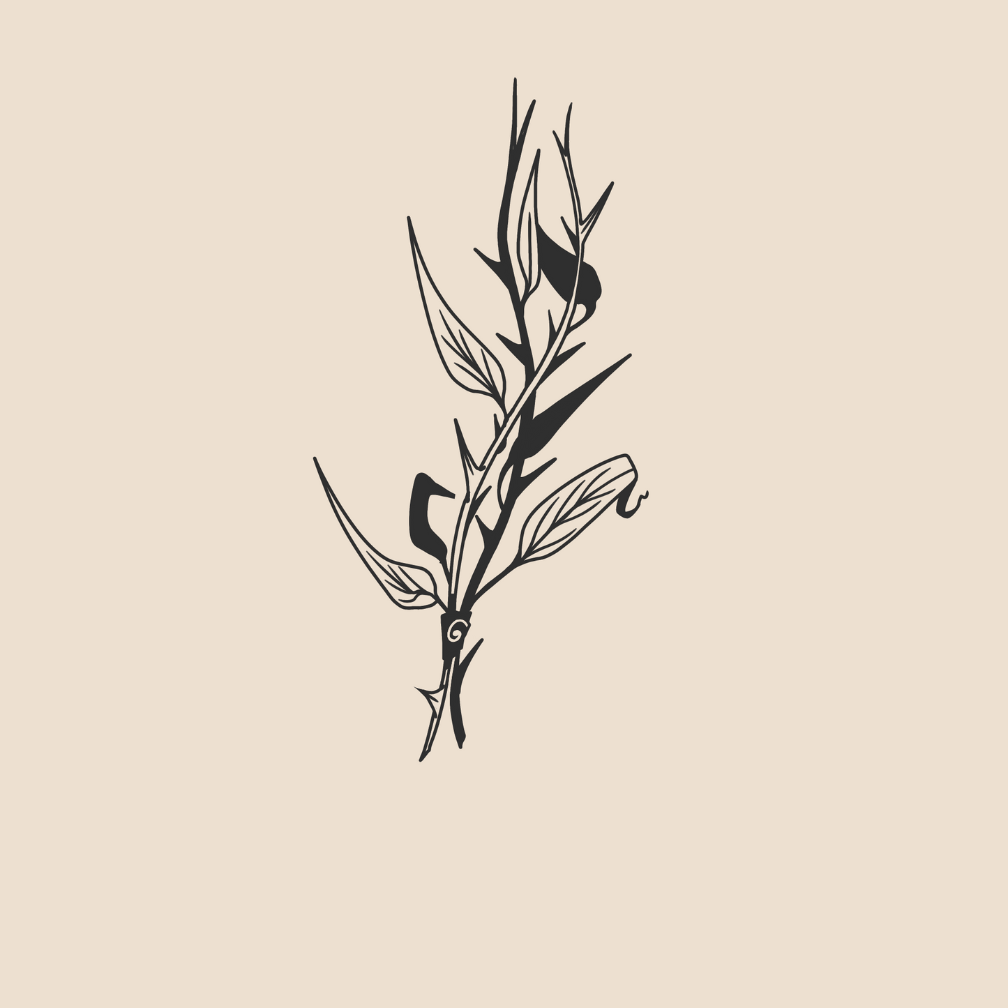 Thorn - 900