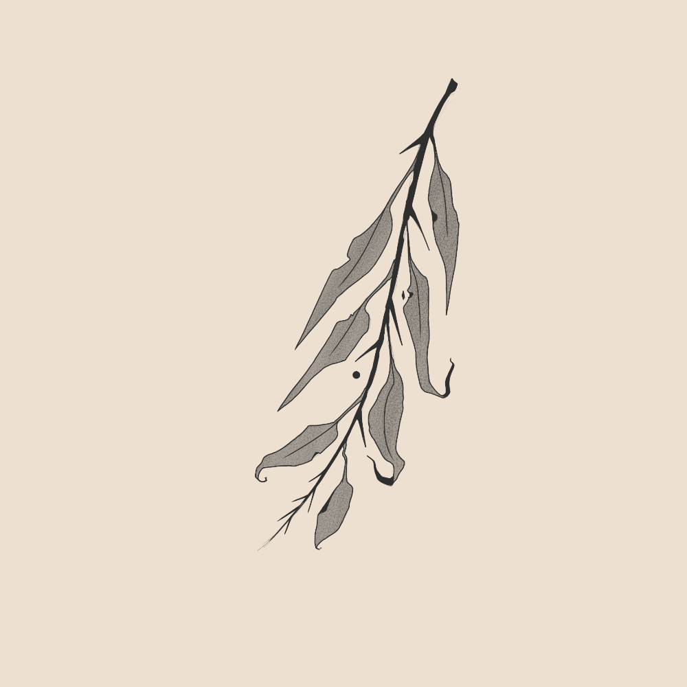 Black Sun Sentinel - 1474