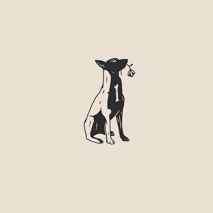 4 - Good boy