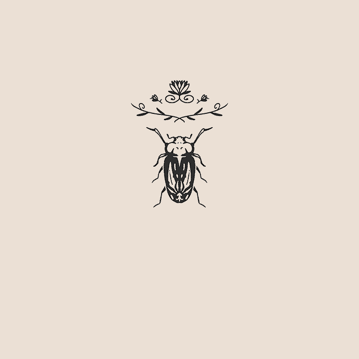 31 - Scarab