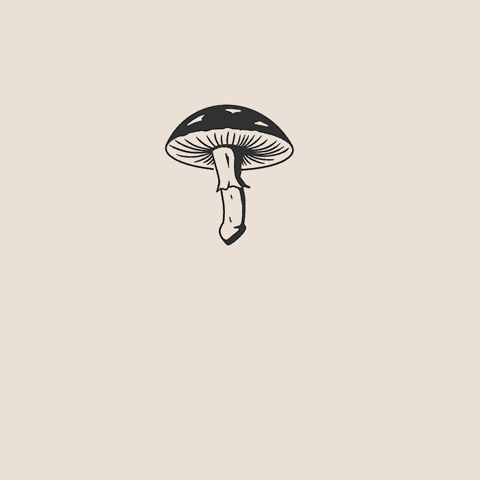 57 - Toxic mushroom