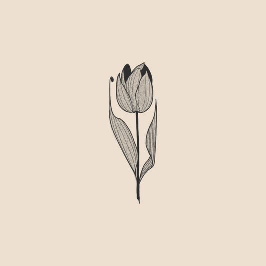 Tulip - 1171