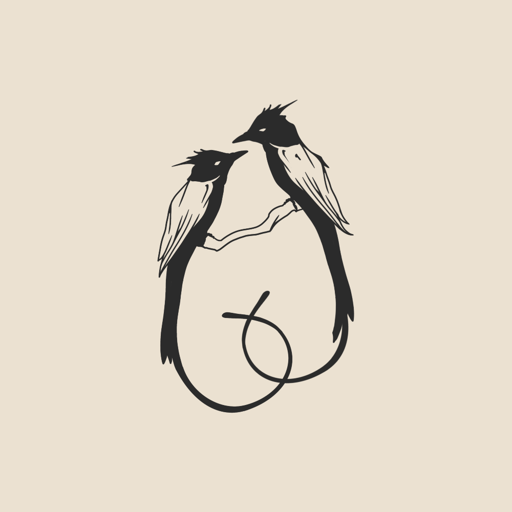 Indian paradise flycatchers - 2073