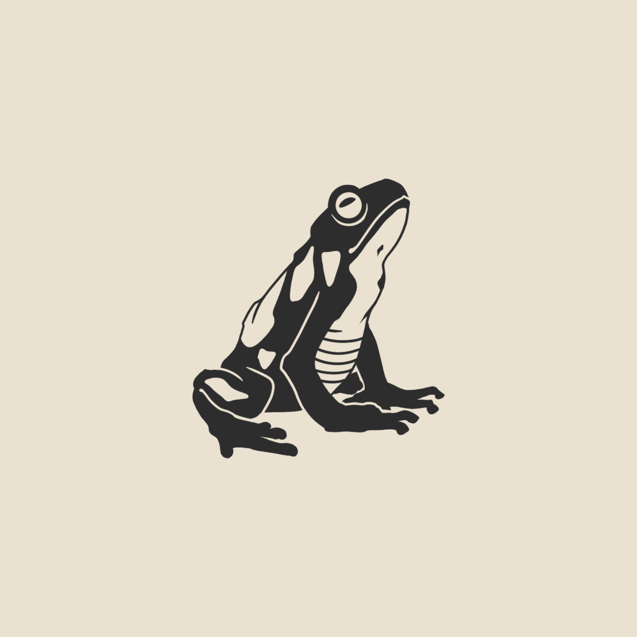 Frog - 1659