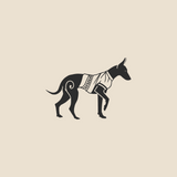 Greek dog - 1655