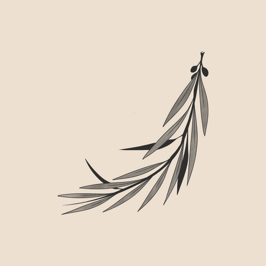 Underworld olive tree branch - 1562