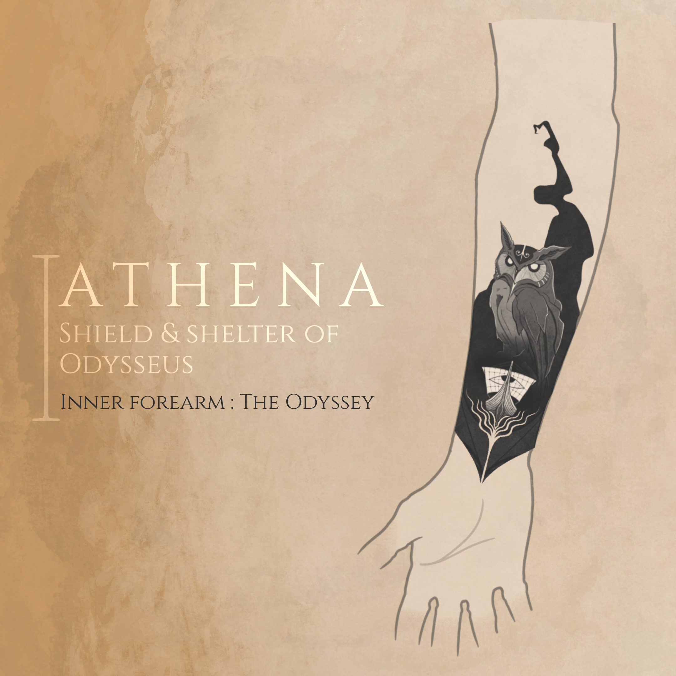 Athena | Shield & Shelter of Odysseus - 1909