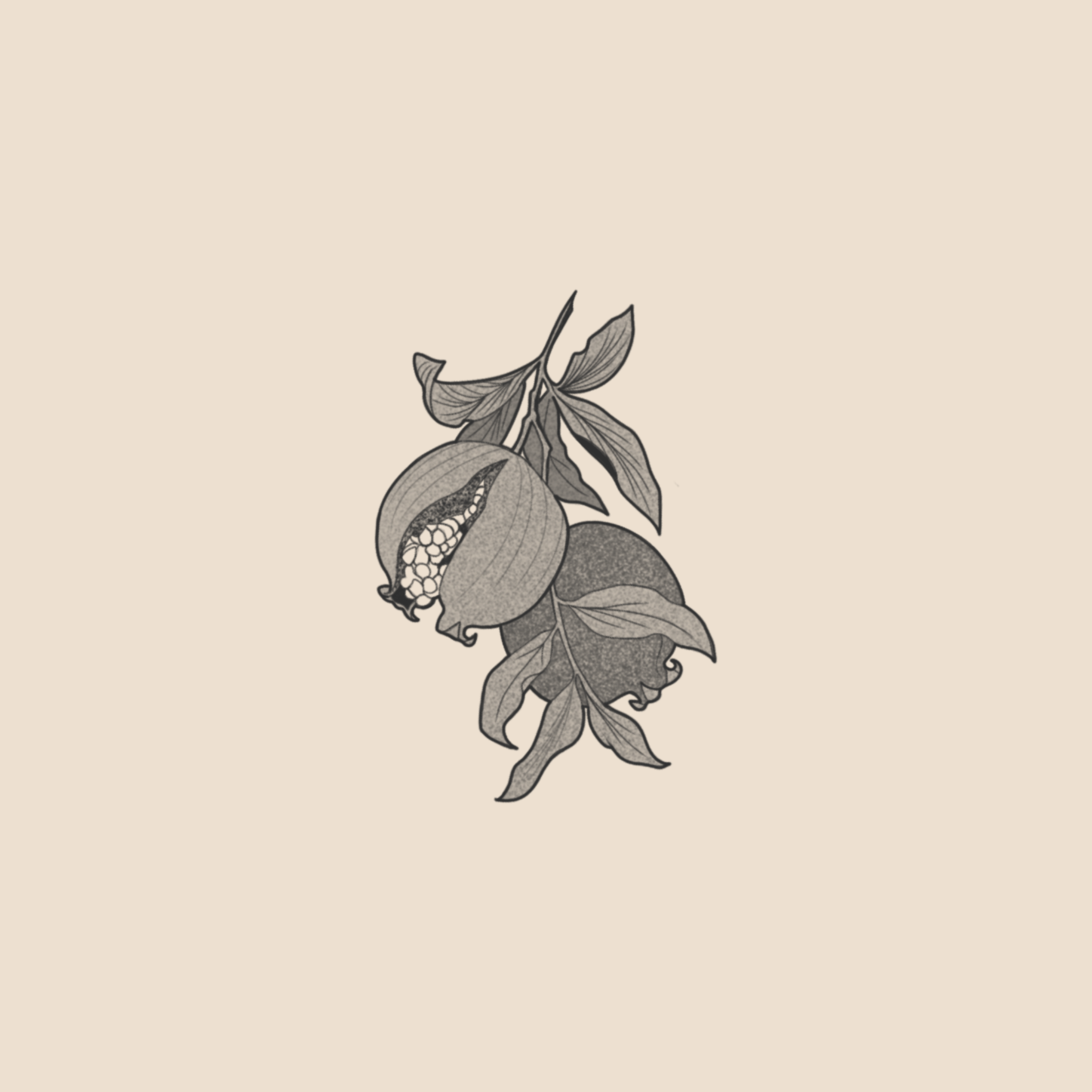 Pomegranate branch - 1105