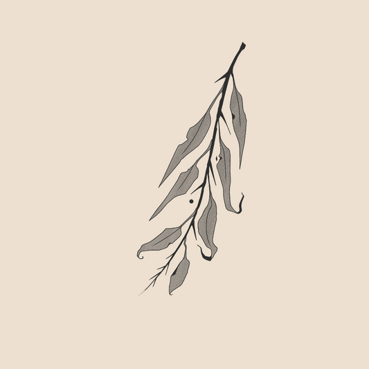 Underworld's branch - 1595