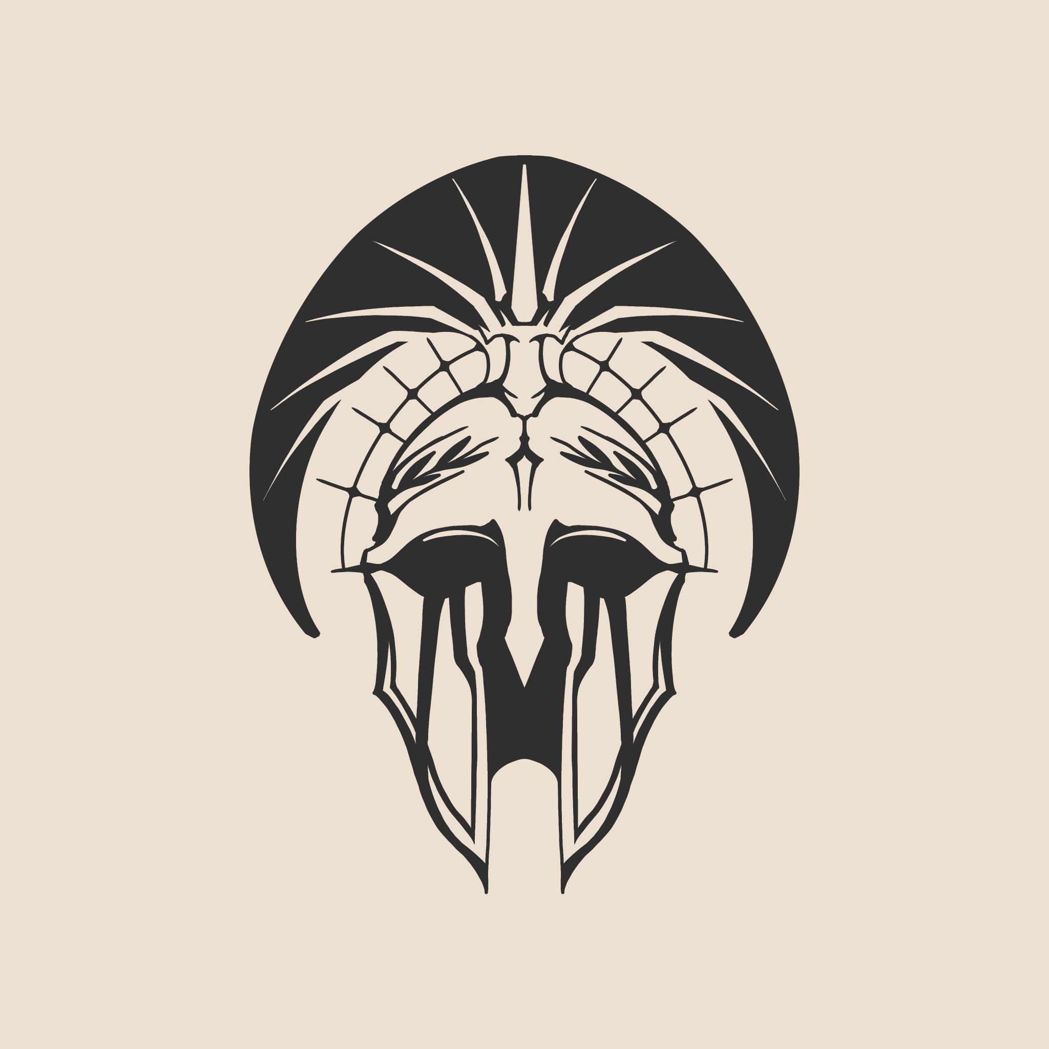 Wrath spectrum helmet - 1063