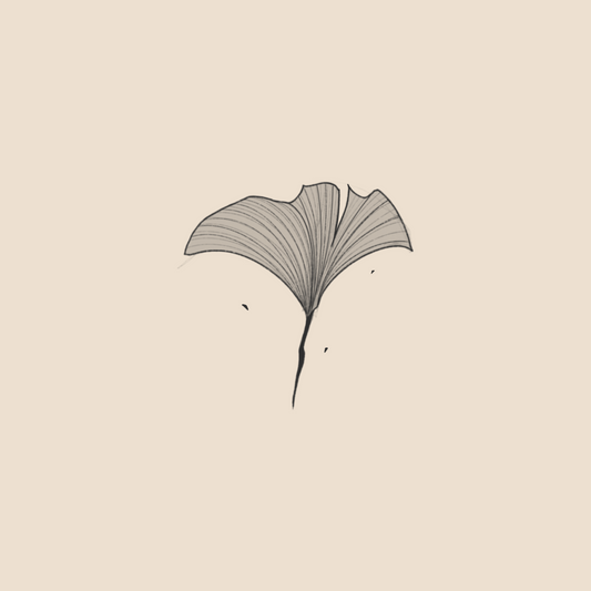 Gingko leaf - 824