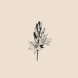 Asphodel branch - 1205